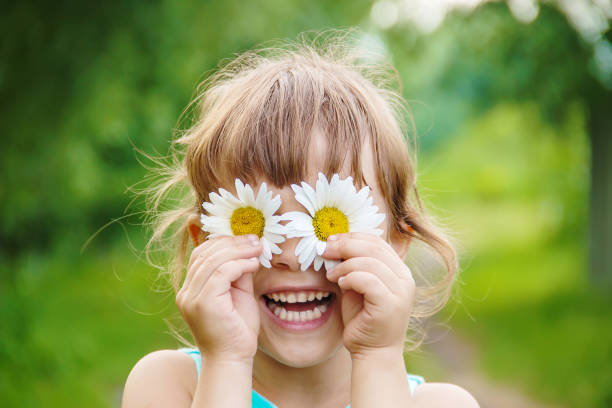 the girl is holding chamomile flowers in her hands. Selective focus. nature